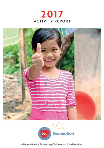 2017 Activity Report Cover